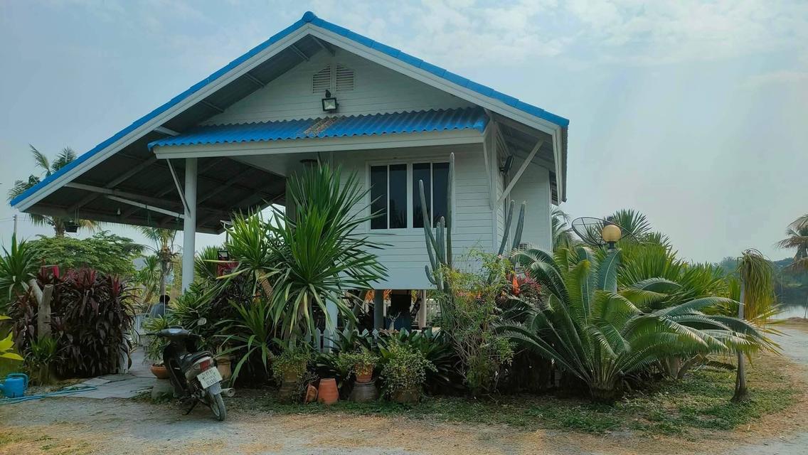 บ้านพร้อมที่ดินแปลงใหญ่ 1