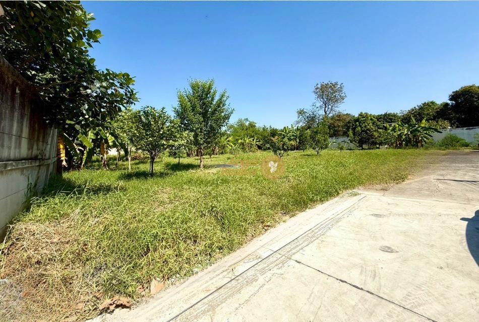 ที่ดินแปลงสวย ถมแล้ว 250 ตรว. มบ.แสนสบาย ติด ถ.พระเทพฯ ตัดใหม่ 4