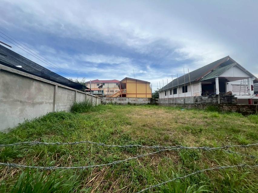 ขายด่วนที่ดินพัทยา บางละมุง ชลบุรี 4