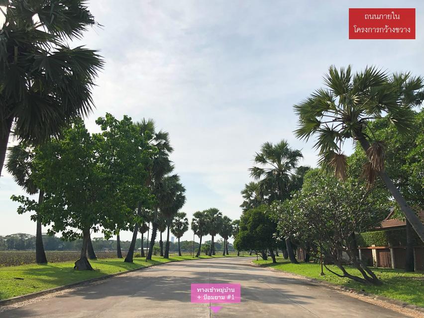 ขายที่ดิน บ้านไม้ล้อมเรือน/พร้อมพันธุ์ ปาร์ค (215 ตรว.) แปลงมุมสุดท้าย วิวสวยที่สุดในโครงการ 14