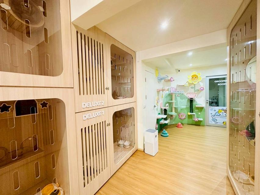ขายอาคารพานิชย์ 4.5 ชั้น เนื้อที่ 16.6 ตรว. รีโนเวทภายในแล้ว ริมถนนอ่อนนุช 8 ( สุขุมวิท 77 ) 17