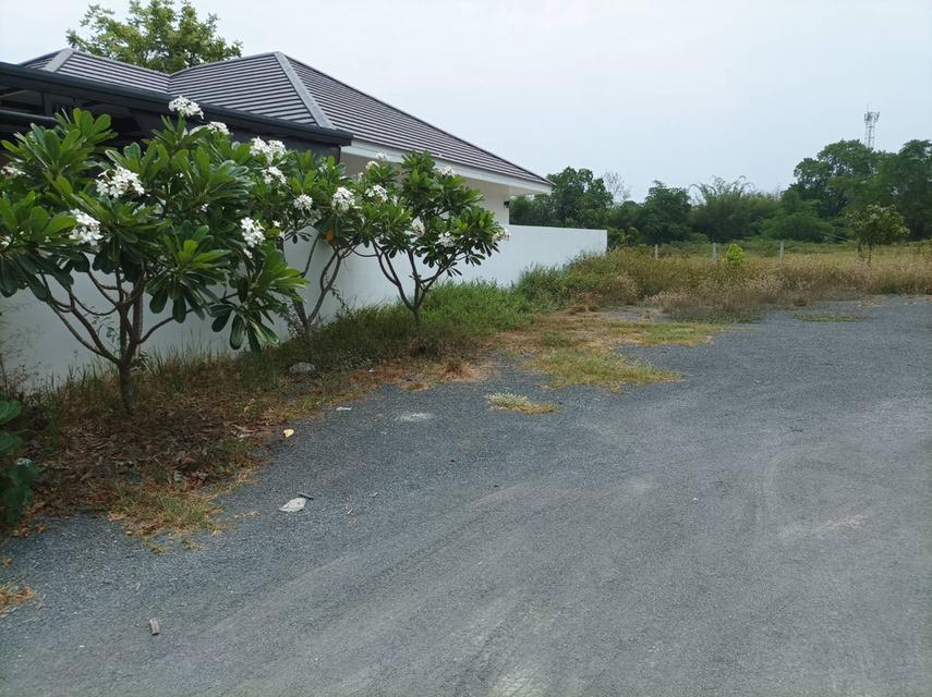 ขายที่ดิน95ตร.ว. ต.แม่คือ อ.ดอยสะเก็ด จ.เชียงใหม่ 3