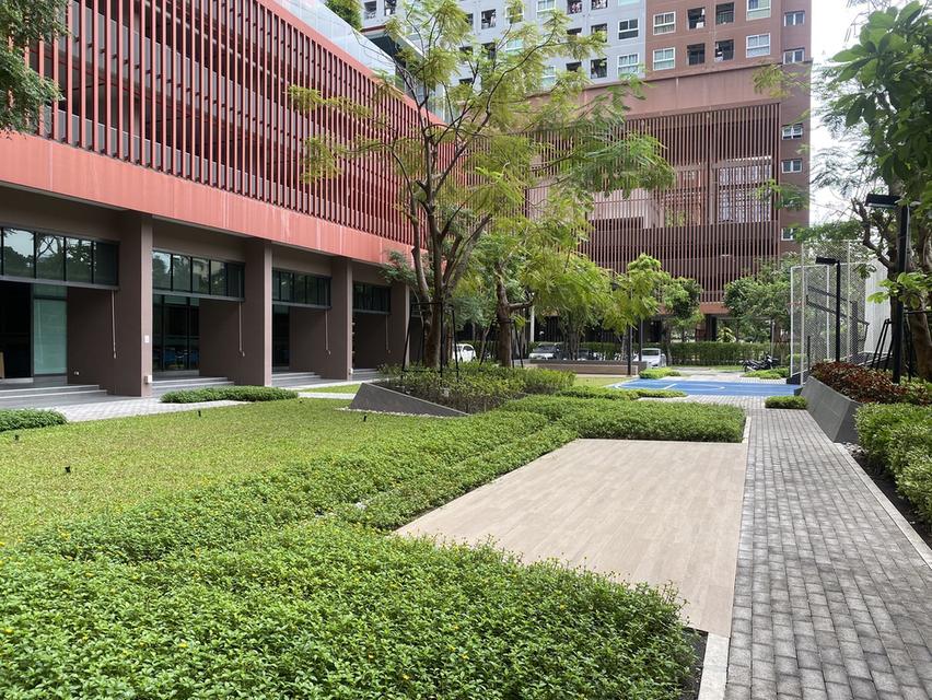 ขายคอนโด !! โครงการ The Privacy Rama9 ห้องขนาด 23.5 ตร.ม. 18