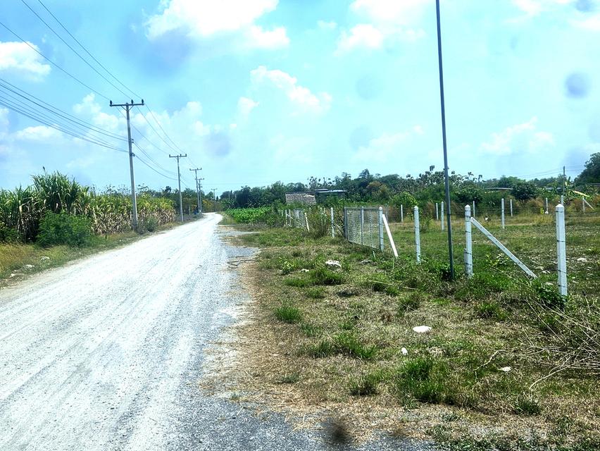 ขายที่ดินโฉนด200ตรว ติดชุมชน ต.พลับพลาไชย อ.อู่ทอง จ.สุพรรณบุรี 2