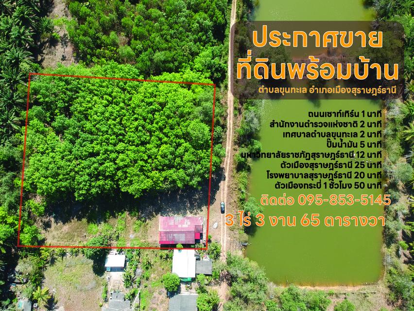 ขาย ที่ดินสวนยางพร้อมบ้าน ตำบลขุนทะเล สุราษฎร์ธานี 3 ไร่ 3งาน 65 ตารางวา 3
