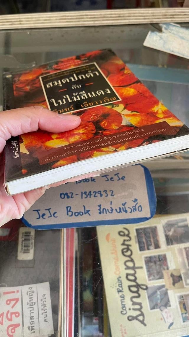 หนังสือวรรณกรรม สมุดปกดำ กับ ใบไม้สีแดง