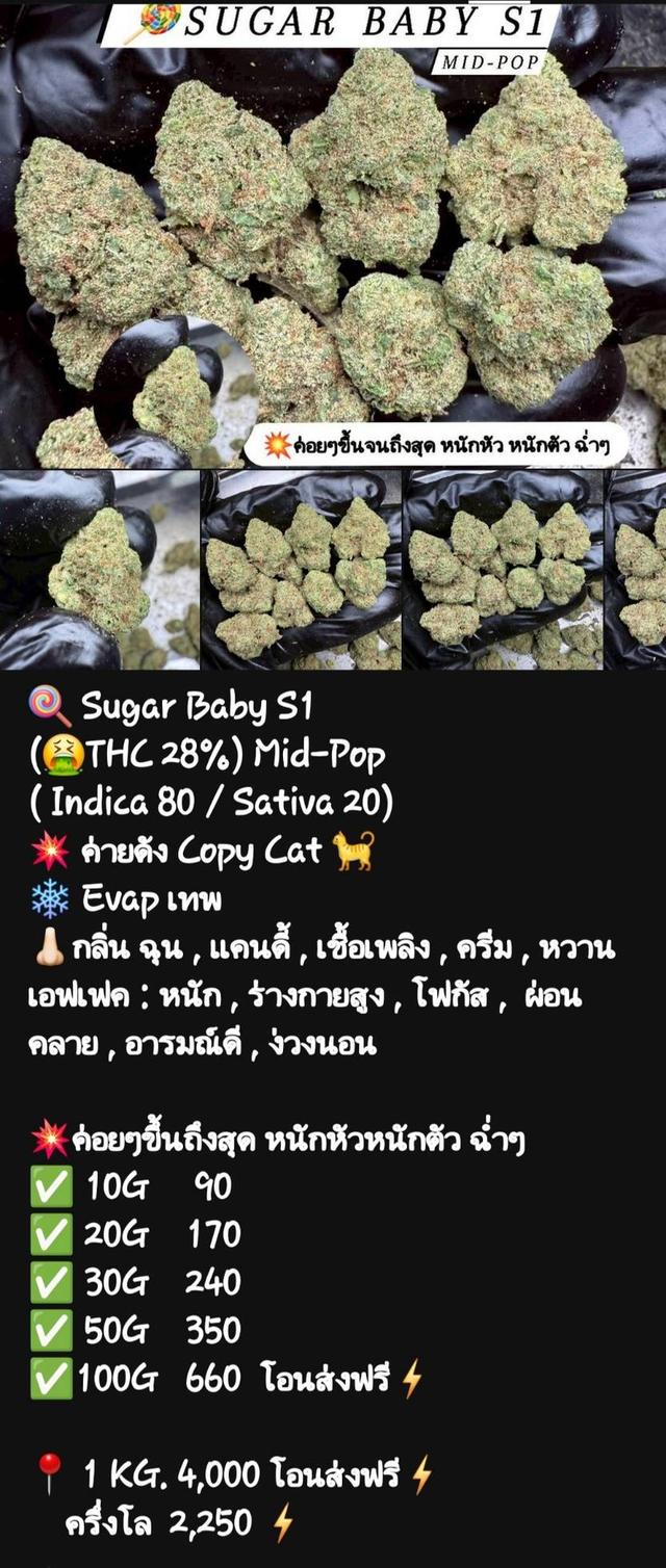 กัญๆ📲💯 9