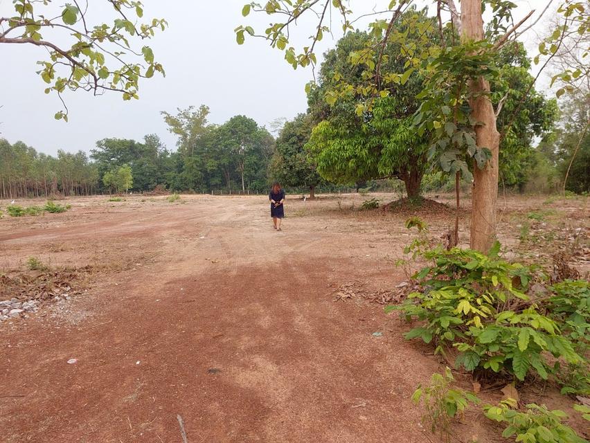 ที่ดินเปล่า โฉนด สกลนคร 4