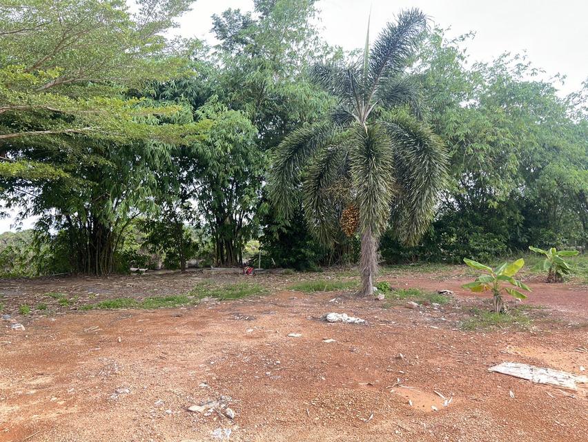 ขายบ้านพร้อมที่ดินติดทะเล บรรยากาศดี เนื้อที่กว่า 1 ไร่ 6