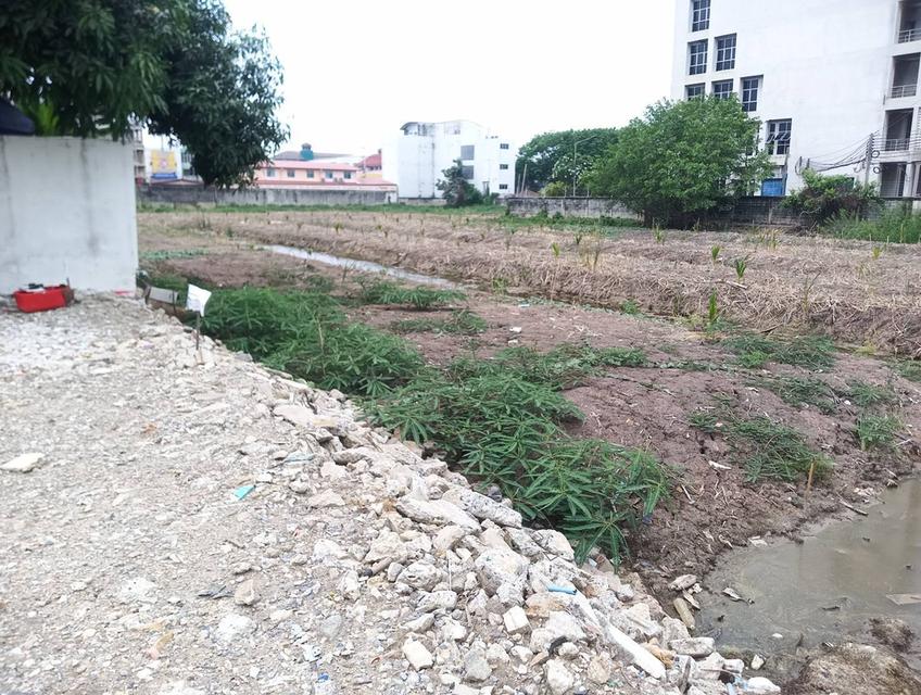 ขายที่ดิน 7 ไร่ ตัวเมืองปทุมธานี 2