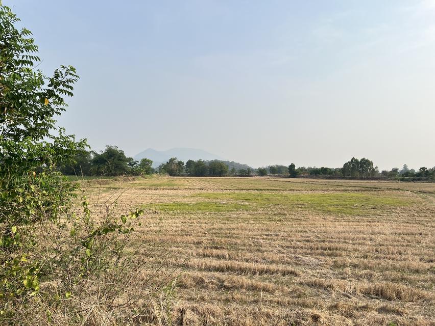 ขายที่ดิน 23ไร่ๆละ100,000บาท 2