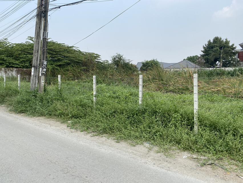 ขายวาละ 45,000 บาท ที่ดิน 1 ไร่ ซอยนวมินทร์ 111 แยก 7 8