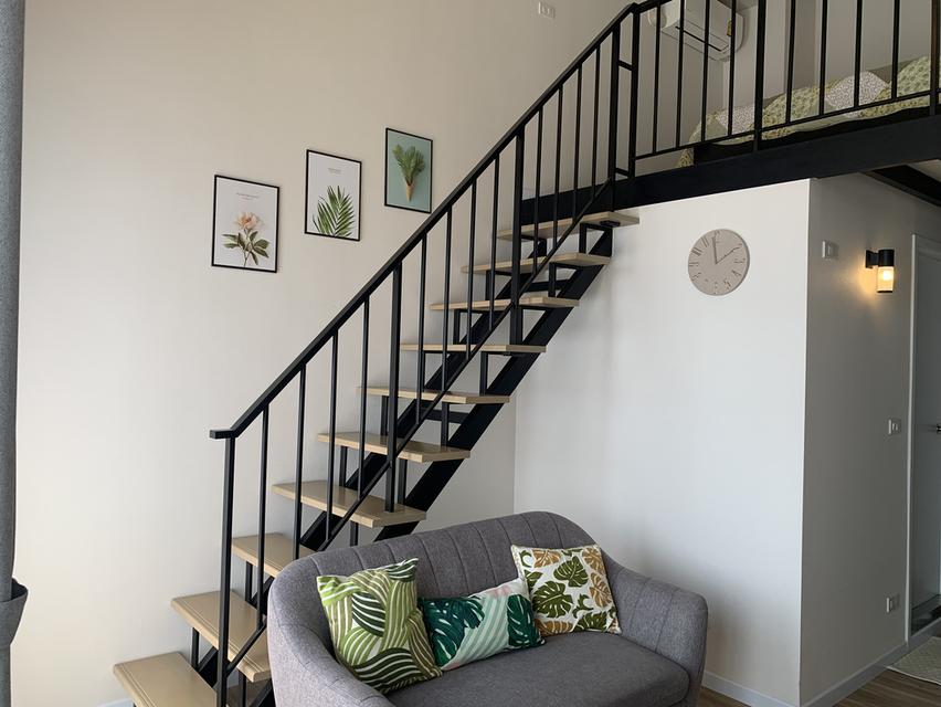 ให้เช่า Blossom Condo at  Fashion Beyond at Fashion 8