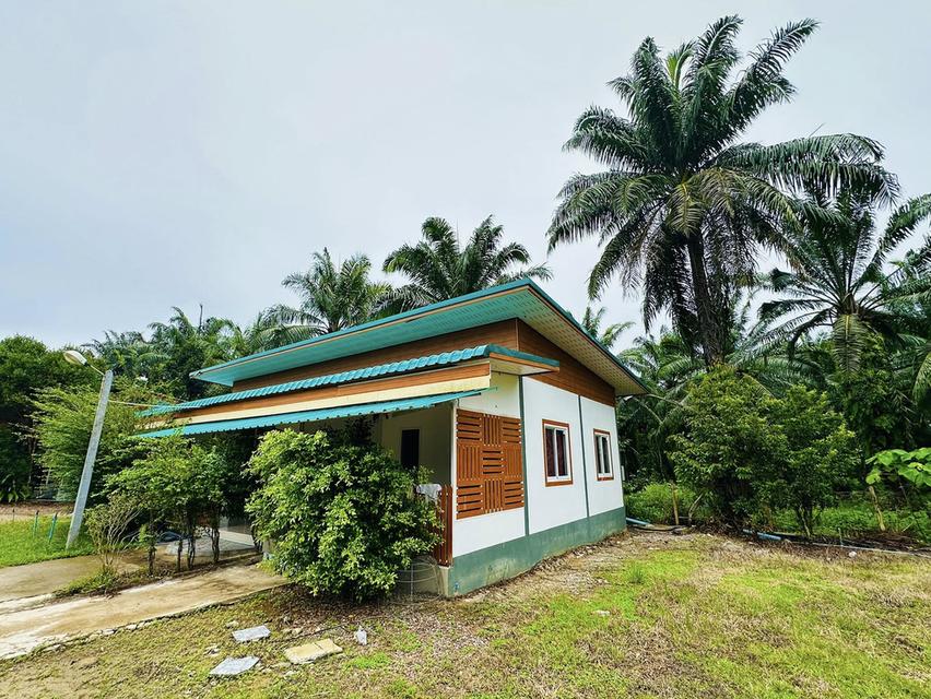 ขายกิจการ รีสอร์ท+บ้าน ท่าแซะ ชุมพร  12