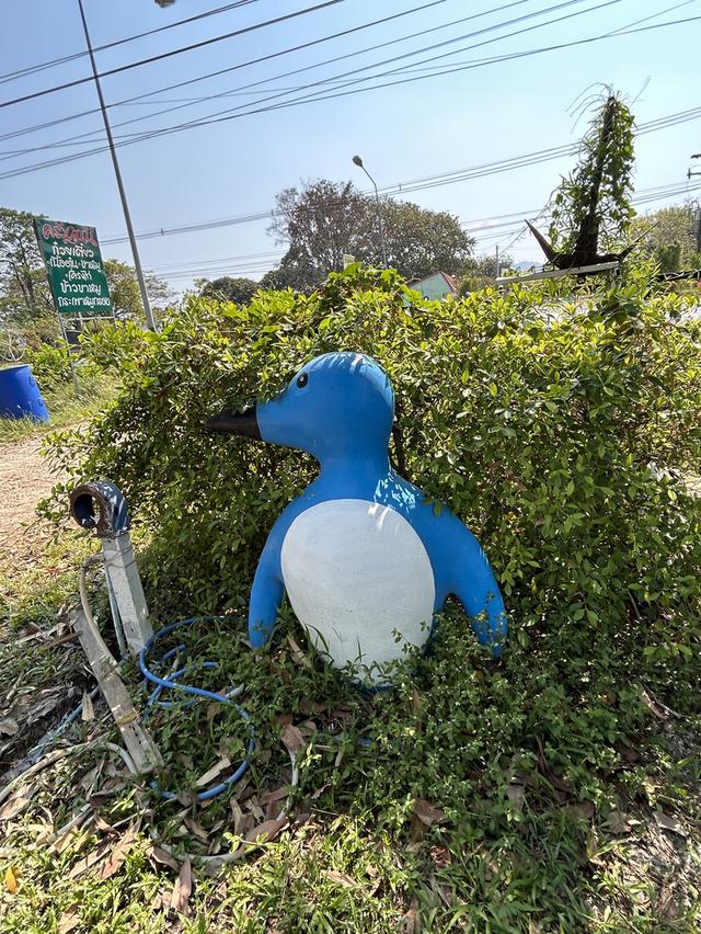 ขายของเเต่งร้าน  วินเทจ  มือสอง  รีบขายด่วน  คืน พื้นที่ให้เจ้าของ  รับเอง 12