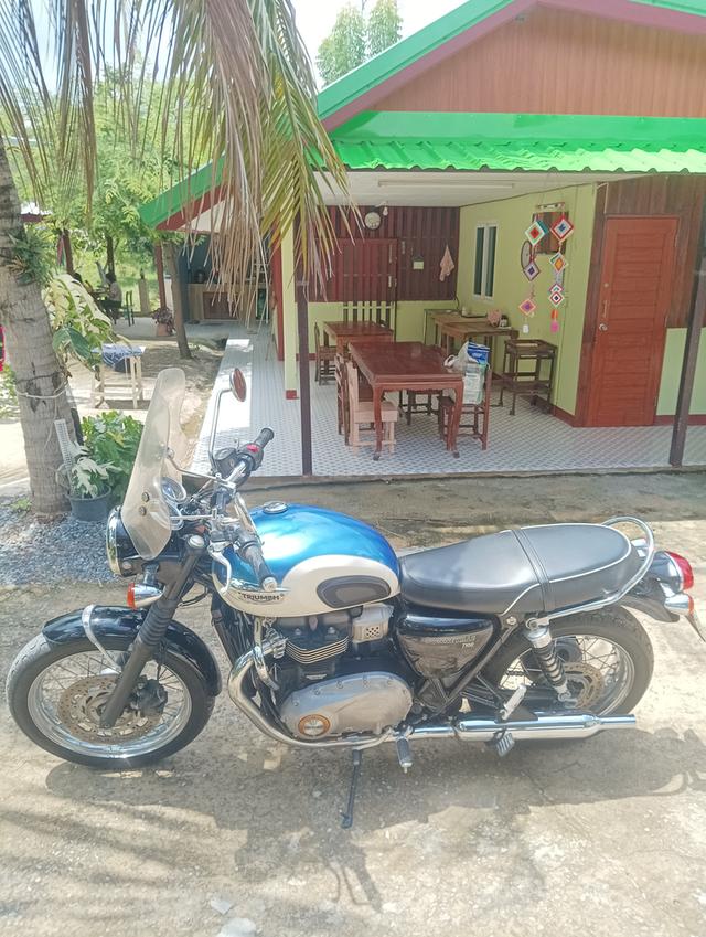 Triumph t100 2017