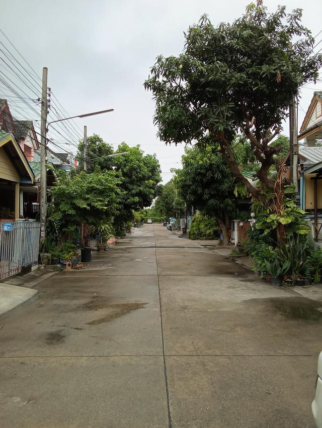 ขายบ้านทาว์สเฮาส์ หมู่บ้านกฤษณาร่มเกล้า 2ชั้น เนื้อที่16 ตรว. 2ห้องนอน 2ห้องน้ำ 1ที่จอดรถ 14