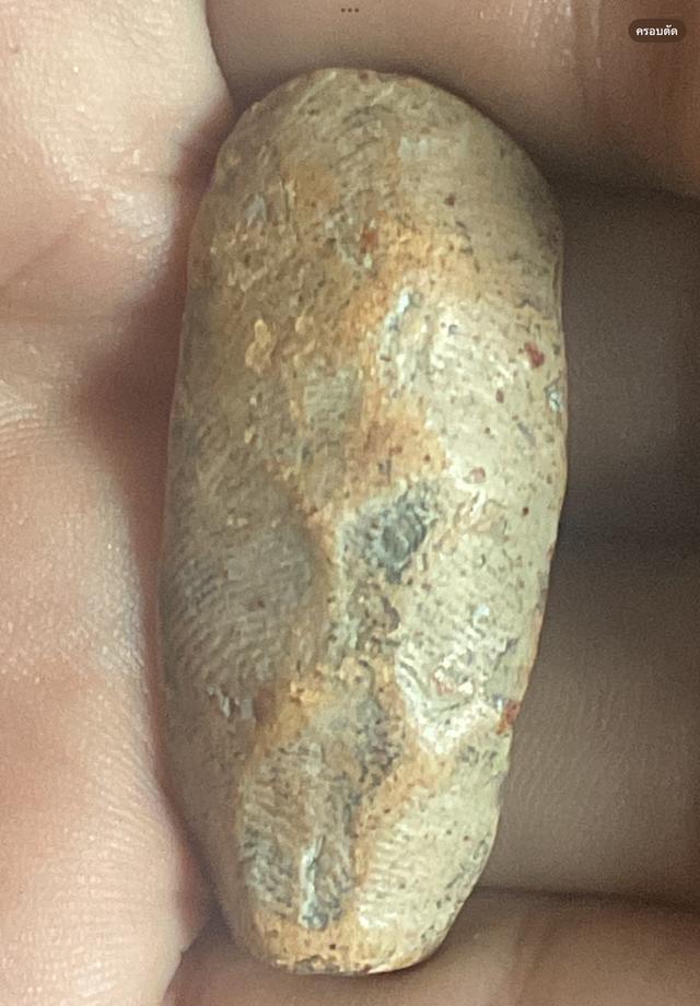 พระกำแพงลีลาเม็ดขนุน พิมพ์ไหญ่ กุวัดพิกุล 5