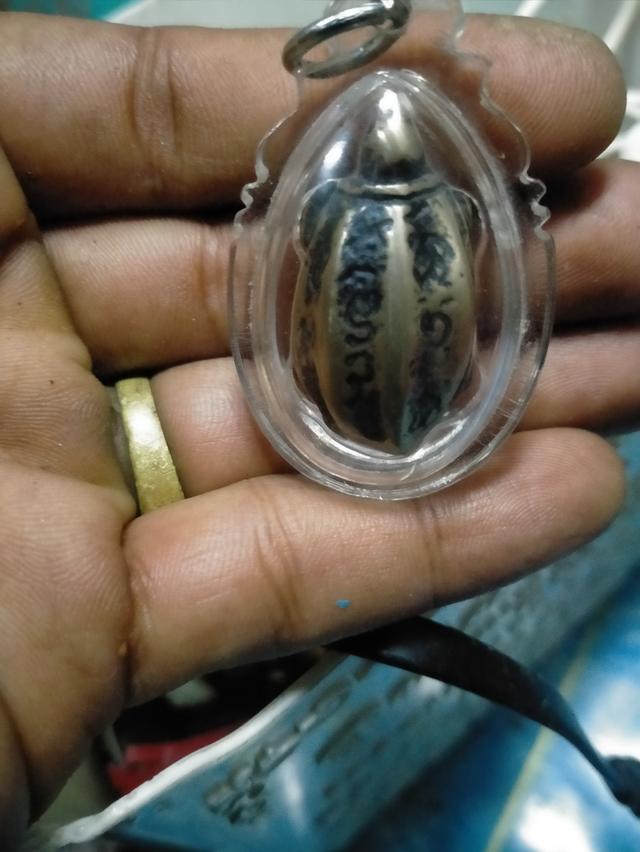 เต่าเนื้อเงินสำริดปู่ศุข