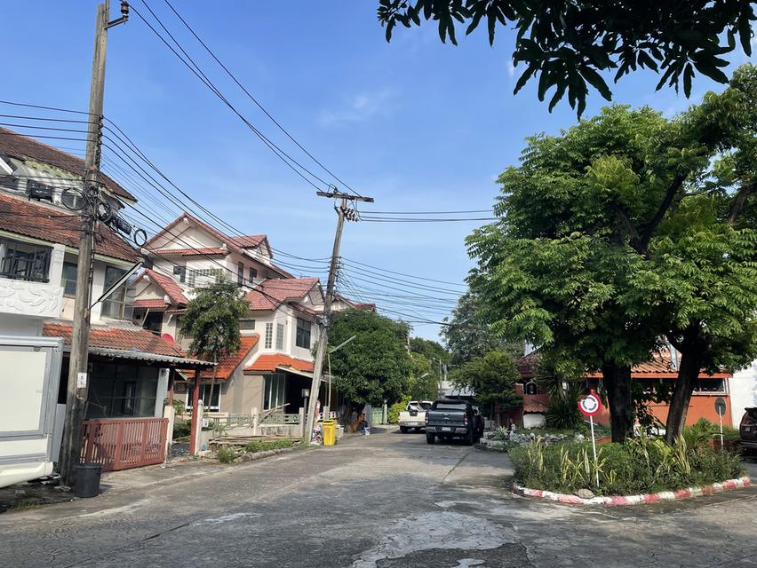 ขาย/เช่า บ้านแฝด 43.3 ตรว.4 นอน 5 น้ำ 14