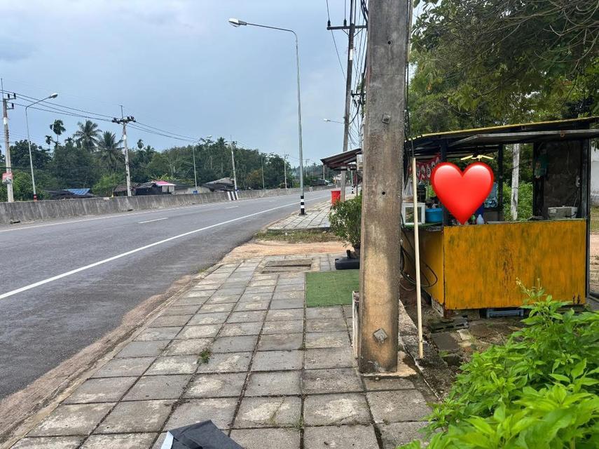 ที่ดิน อ.บ้านนาสาร จ.สุราษฎร์ธานี 3