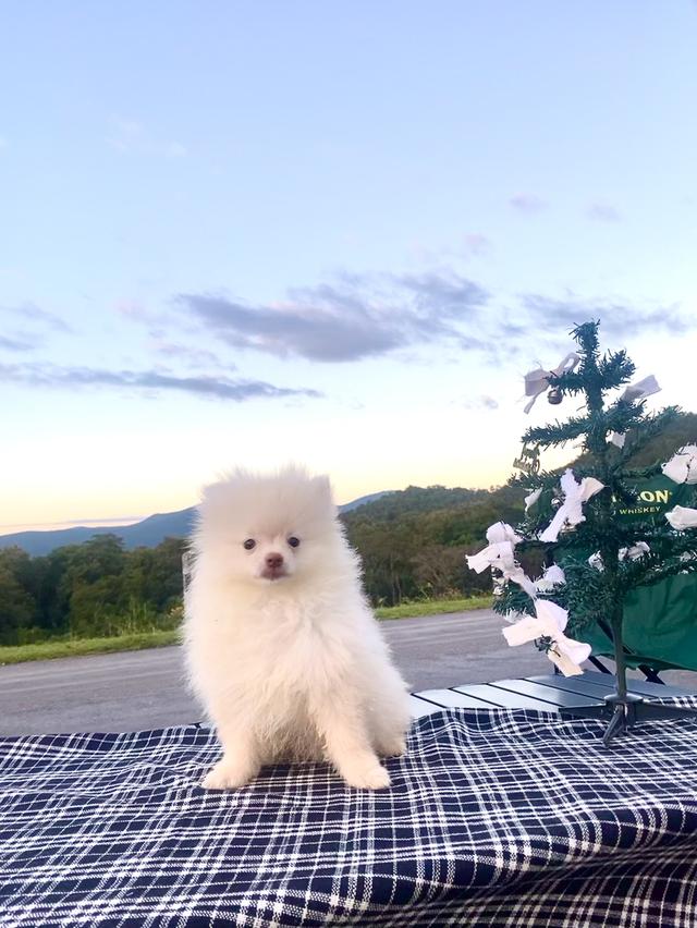 ปอม ชายจริงหญิงแท้ น่ารักๆ