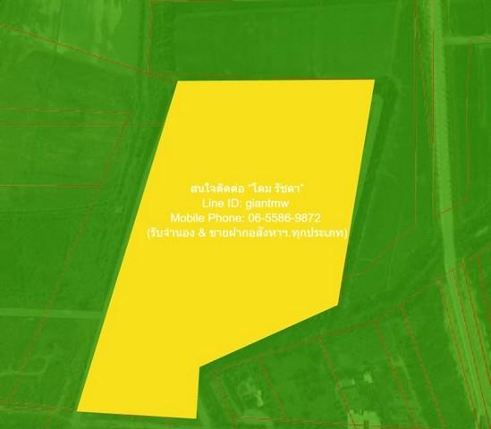 ที่ดิน ขายบ้านพร้อมที่ดินสวนมะพร้าว มะม่วง บึงพระ จ.พิษณุโลก ติดถนนเลี่ยงเมืองพิษณุโลก 56-0-17 ไร่ ราคา 199 ล้านบาท ขนาด 1