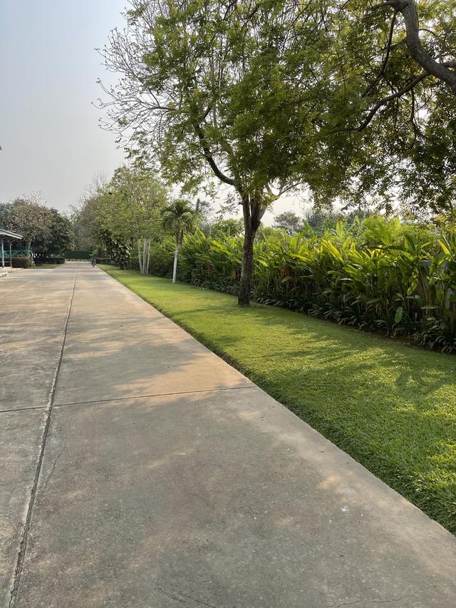 ขายที่ดินพร้อมบ้านและโรงงาน 5
