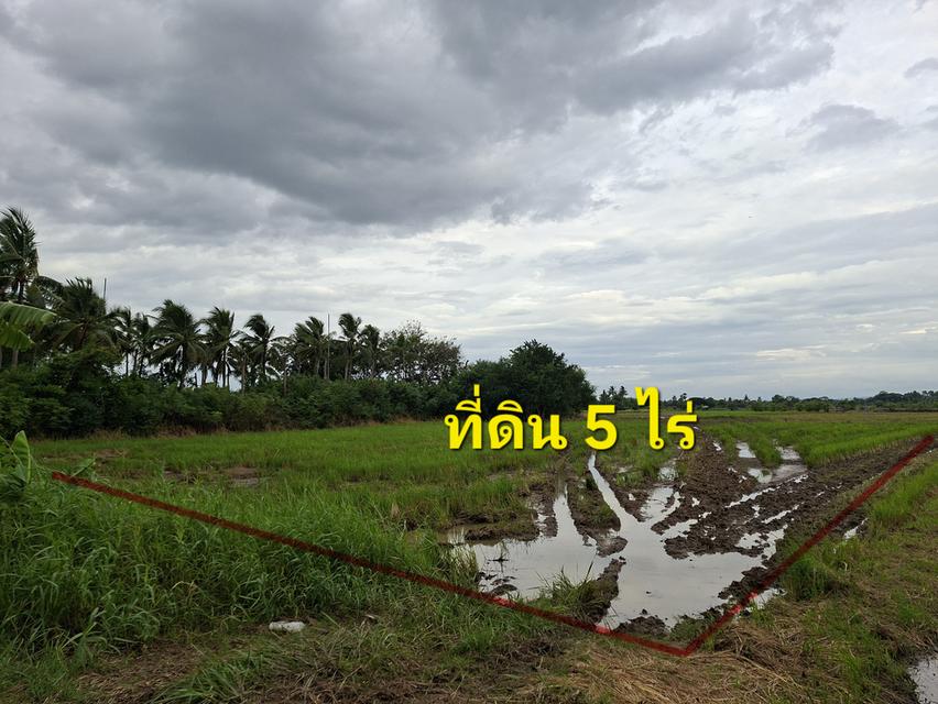 ที่ดิน 1