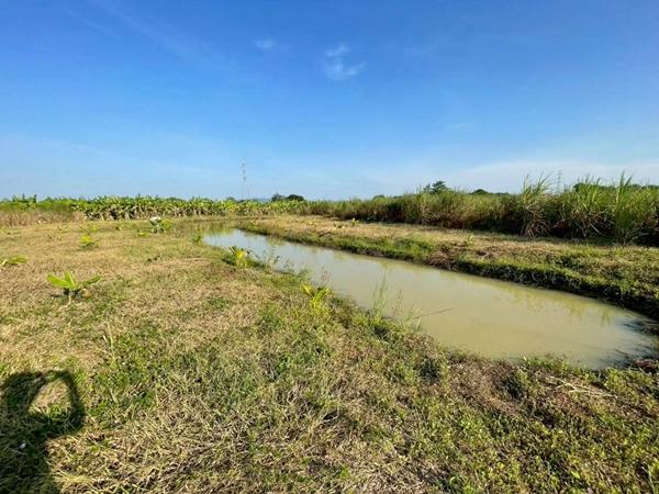 ขายที่ดิน 4 ไร่ ชะอำ เพชรบุรี ไร่ใหม่พัฒนา 1