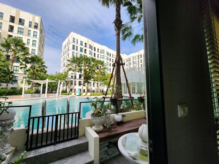 ขาย/ให้เช่า คอนโด ยูนิโอ สุขุมวิท 72 ห้อง Duplex แบบ Pool Access ขนาด 70.5 ตร.ม. บรรยากาศเหมือนอยู่รีสอร์ท ใกล้บีทีเอสแบริ่ง 10
