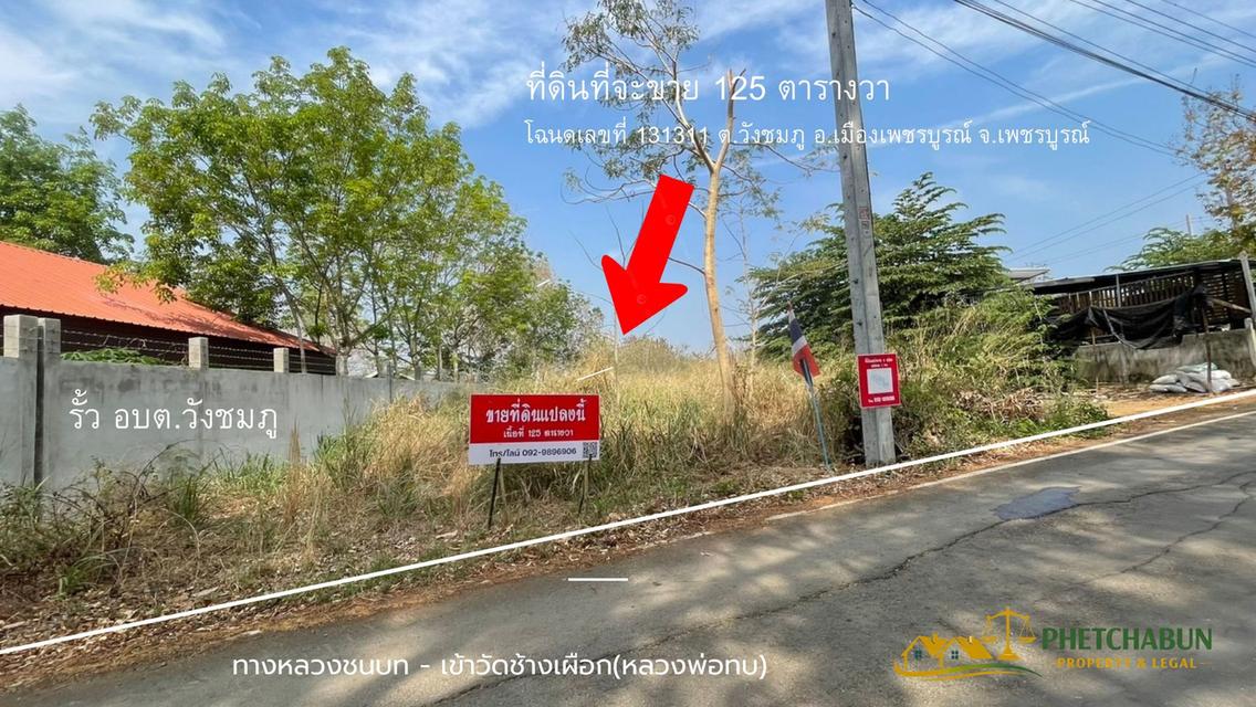 ที่ดินเงิน125 ตารางวา ติด อบต.วังชมภู อ.เมือง จ.เพชรบูรณ์ 5