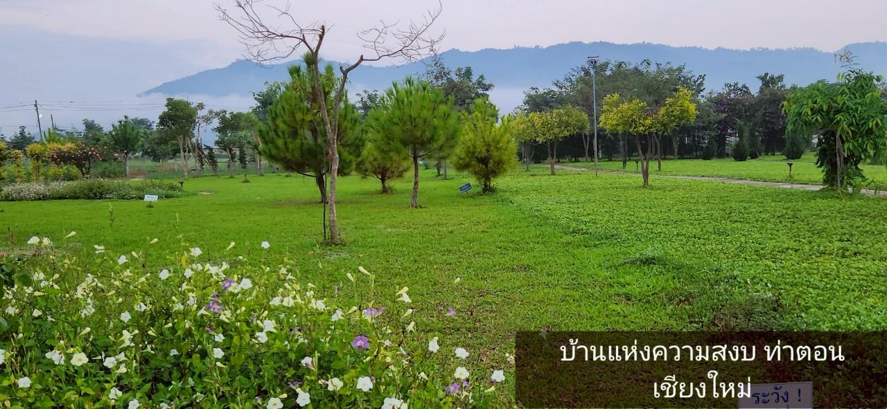 ขายบ้านพักตากอากาศ พื้นที่ 10-2 ไร่ วิวเขาล้อมรอบ เงียบสงบ ตรงข้ามวัดท่าตอน จ.เชียงใหม่  13