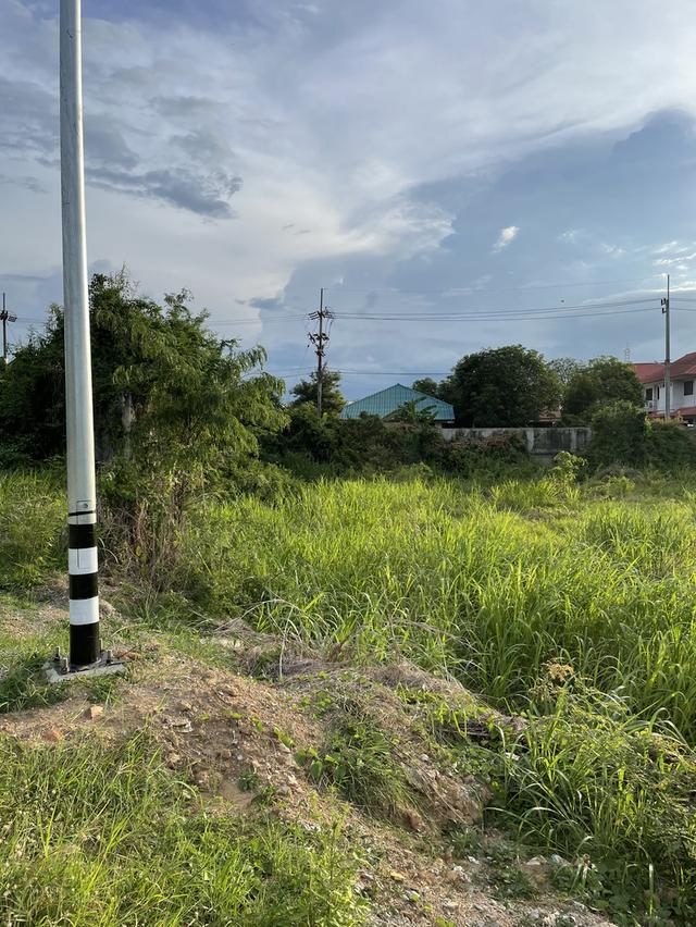 ทีดิน 10ไร่ หันคา ชัยนาท ติด สุพรรณบุรีเจ้าของขาย้อง 9