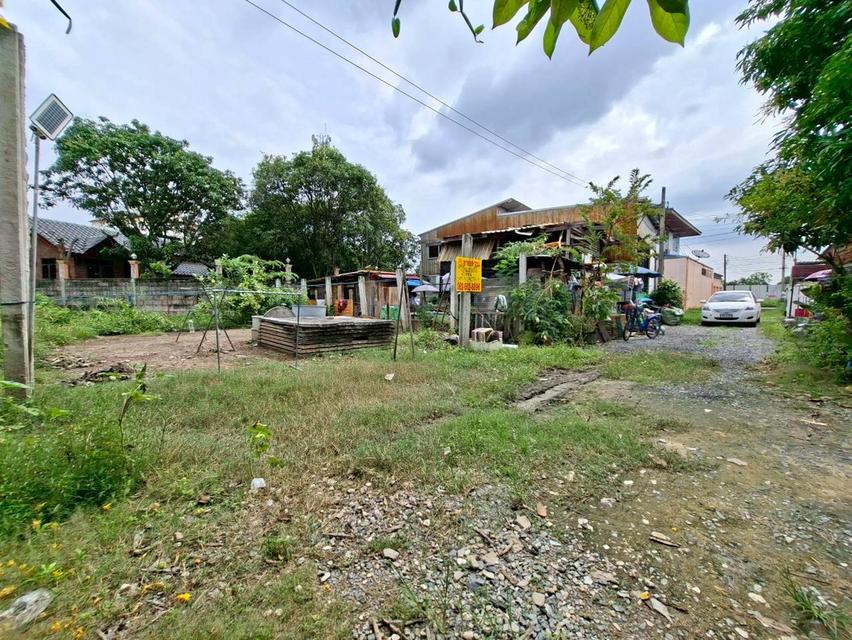 ขายที่ดินเปล่า ซอยแสมดำ 2 ถนนพระราม2 2