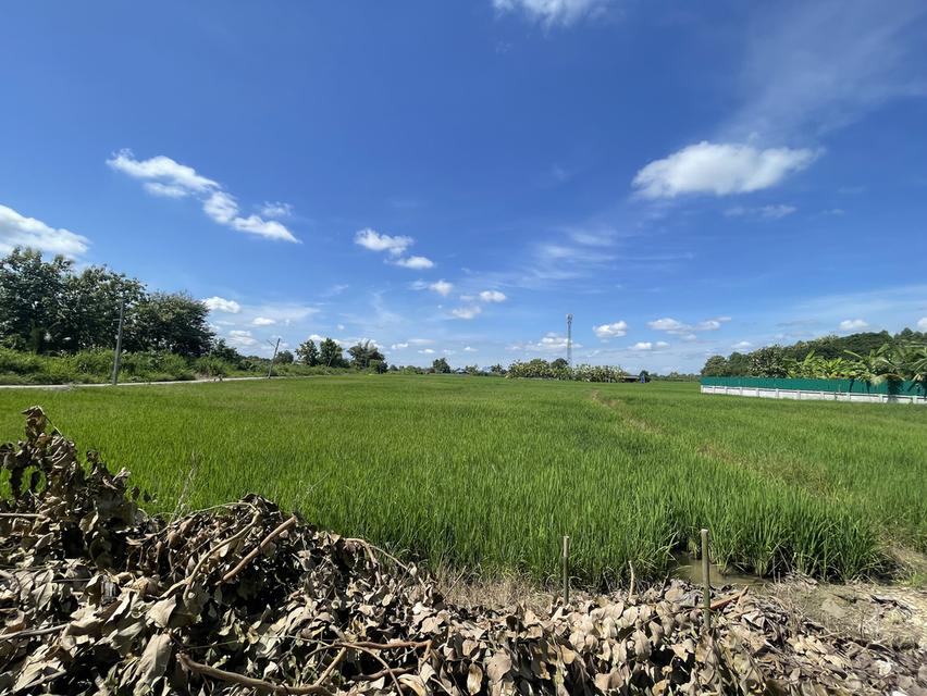 ขายที่ดิน 2 แปลงสวยรวม 5 ไร่ 2 งาน 76 ตรว Land for sale 2 Plots Total 5 Rai 2 Ngan 76 Sq.wa 4