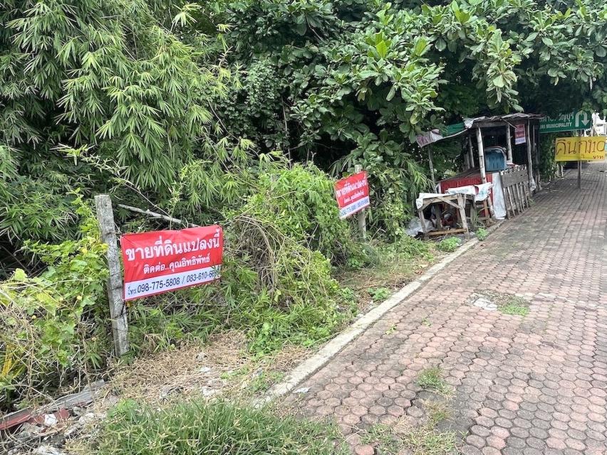 ขายที่ดินติดถนนรังสิต นครนายก 50 ไร่ ใกล้โลตัสคลอง 7 ธัญบุรี 098 7755 808 6