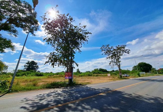 ขายที่ดิน ตำบลคู้ยายหมี อำเภอสนามชัยเขต ฉะเชิงเทรา ตรงข้ามเทศบาลสนามชัยเขต 3