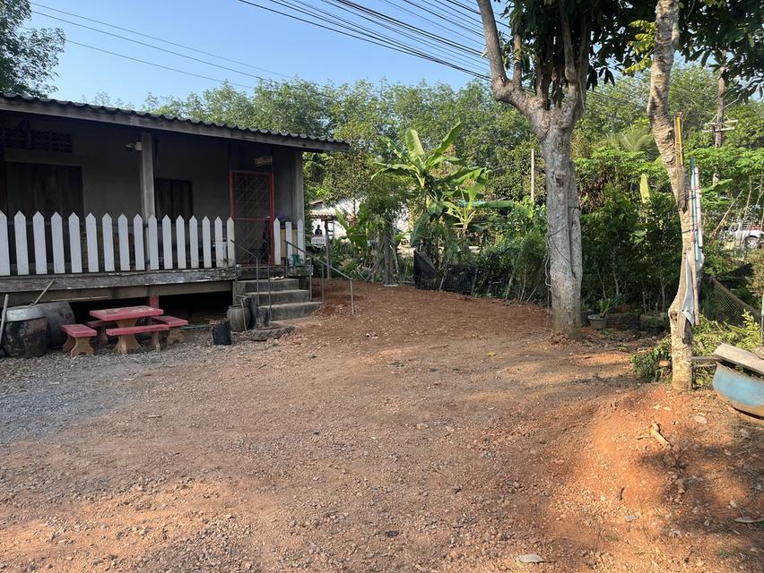 บ้านพร้อมที่ดิน ติดถนนสุขุมวิท(ทางหลวงแผ่นดิน3) 3