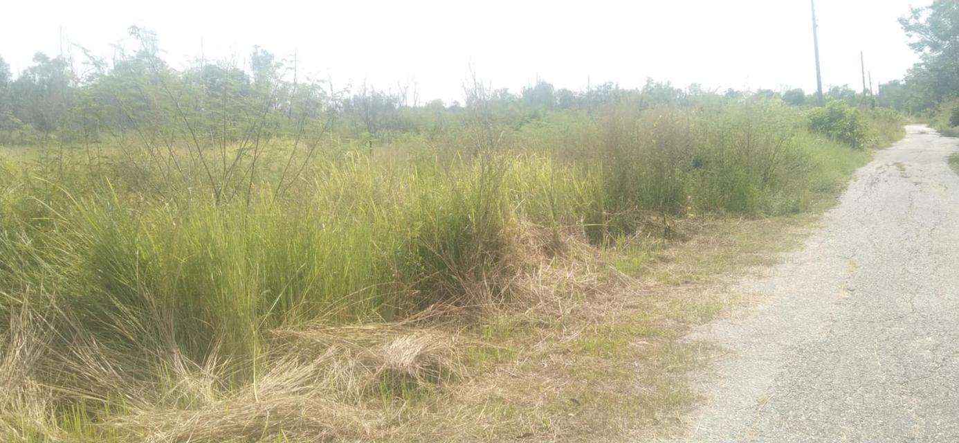 ขายที่ดินโฉนดครุฑแดง 4 ไร่ 6