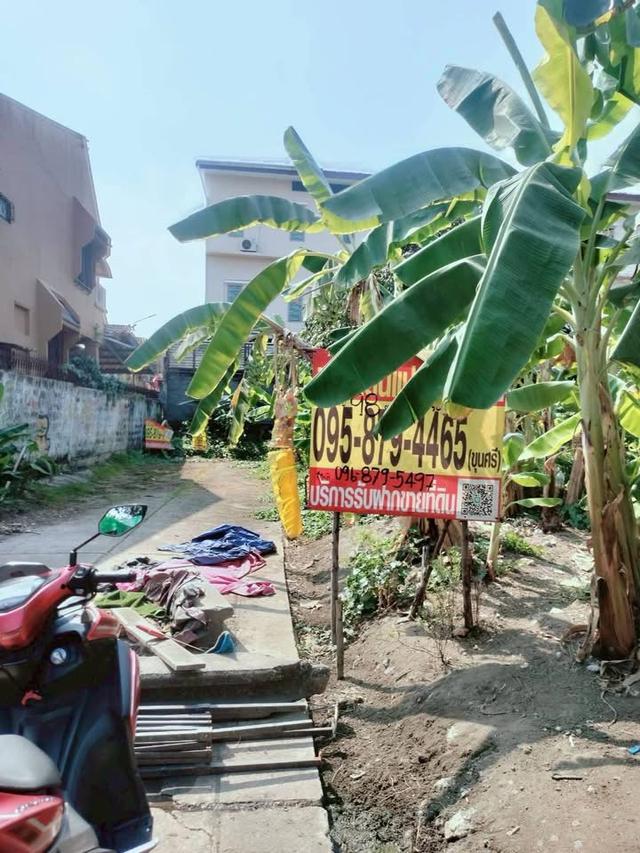 ขายด่วน !! ที่ดิน 98 ตารางวา ติดถนนคอนกรีต ไทรน้อย15/2 นนทบุรี 1