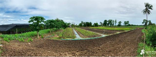 ขายที่ดิน 7 ไร่กว่า ใกล้จุดขึ้นลงมอเตอร์เวย์ M81 สายบางใหญ่-กาญจนบุรี ที่ อ.นครชัยศรี จ.นครปฐม 1