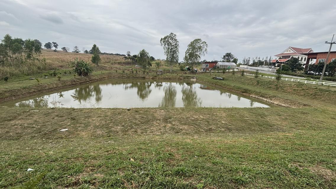 ที่ดินเปล่า 7 ไร่ 2 งาน ไร่ละ 9แสน แบ่งได้ อ.วังน้ำเขียว 5