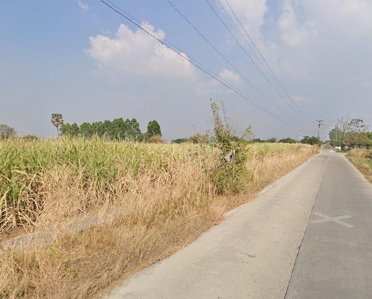 ขายที่ดินหนองหงษ์ 4 ไร่ ติดถนนคอนกรีต ใกล้ถนน4เลนเส้นชบ.3023-950เมตร อ.พานทอง ชลบุรี 2