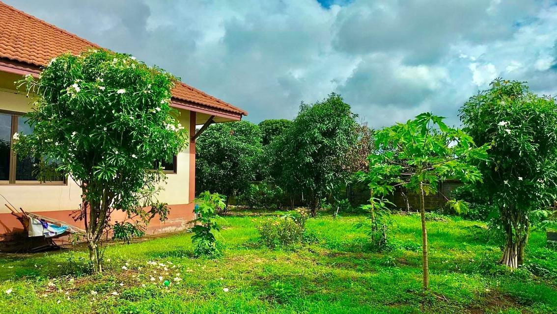 ขายบ้านพร้อมที่ดินสวยๆ ทำเลดี ใกล้จุดสำคัญหลายๆที่ 8