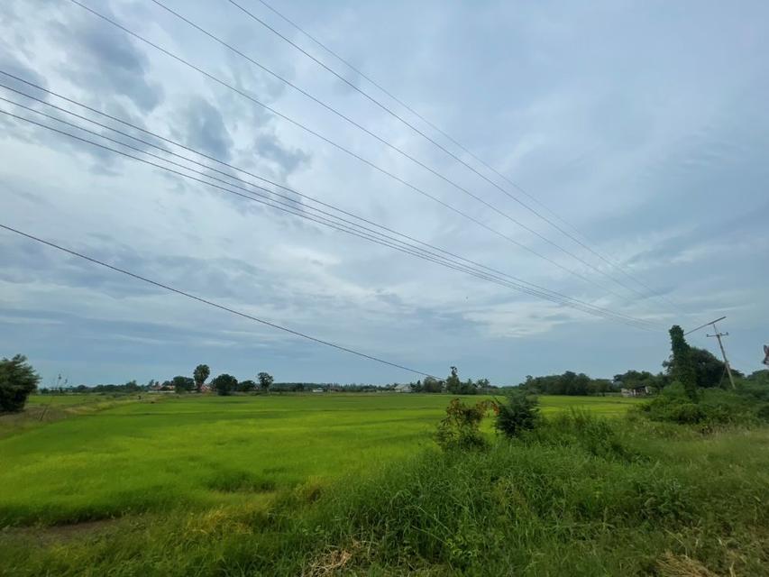 ขายที่ดินเปล่า ขนาด 24 ไร่ ทำเลทอง บรรยากาศร่มรื่น ใกล้แหล่งชุมชน ต.หัวสำโรง ฉะเชิงเทรา 9