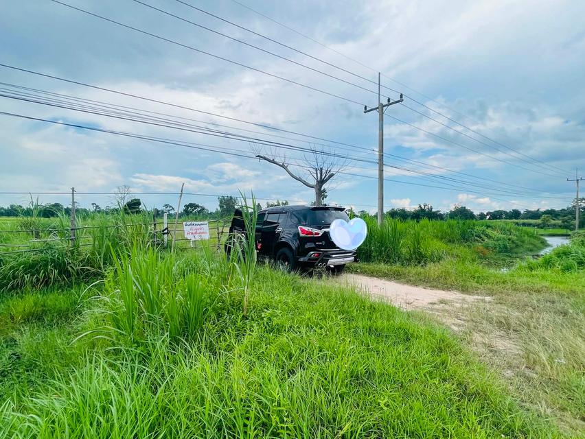 ขายที่ดินติดถนน 1 ไร่ 3 งาน 65 ตารางวา จังหวัดศรีสะเกษ 5