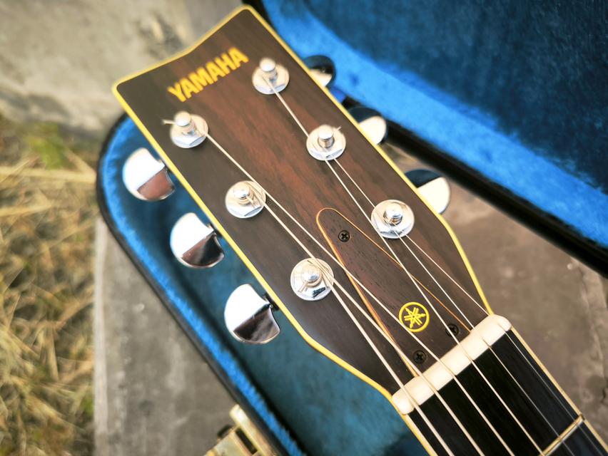 🎸 Yamaha FG-252 🇯🇵 Made in Japan รูปที่ 16