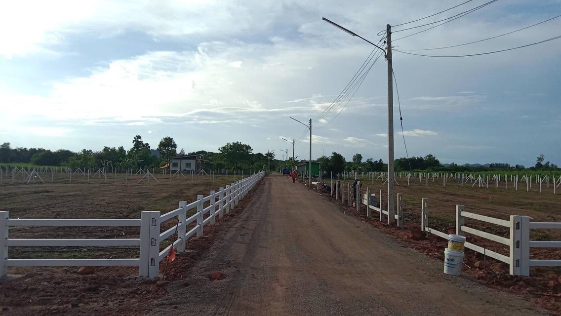 ขายที่ดินโฉนด(สด-ผ่อน) บ้านหนองใยบัว อ.โพธาราม ราชบุรี 300 ตร.วา 600,000 บาท 7