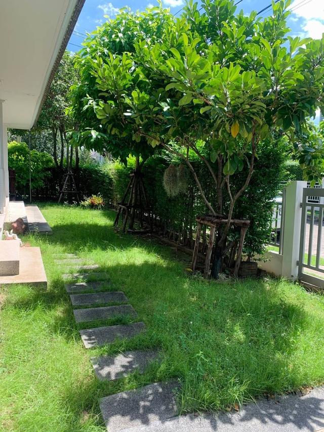 บ้านเดี่ยว หมู่บ้านปัญญาอินทรา 90.71 ตารางวา 3